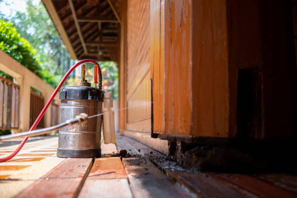 Wasp Removal Services in Lucedale, MS