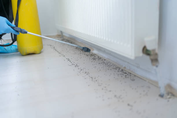 Best Emergency Pest Control  in Lucedale, MS