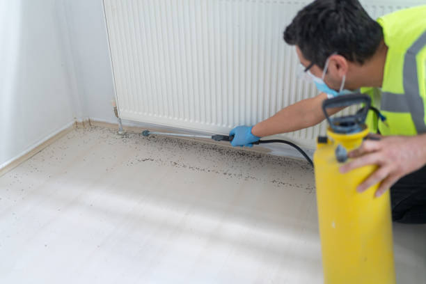 Pest Control Cost in Lucedale, MS